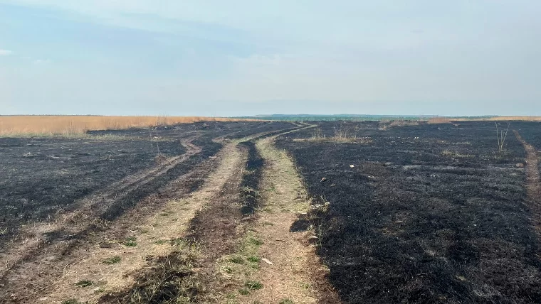 Пропавший нижнекамец Ренат Гарипов сгорел во время пожара на поле