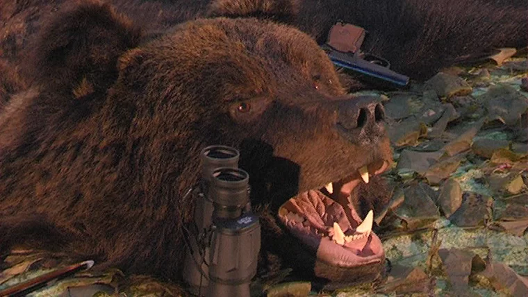Татарстанцам рассказали, как вести себя при встрече с медведем