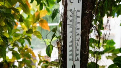 Синоптики прогнозируют сильный ветер в Татарстане 12 мая - НТР 24