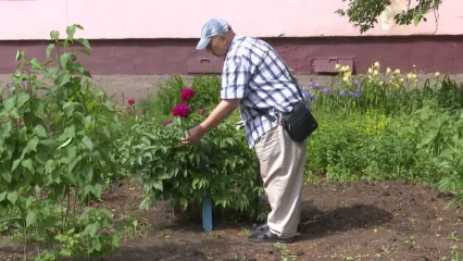 В Нижнекамске жильцы дома поссорились с соседом, который тратит общедомовую воду на полив цветов - НТР 24
