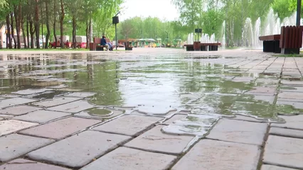 В Нижнекамске изменят режим работы пешеходного фонтана из-за лужи
