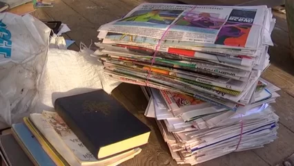 В Нижнекамске в Международный день защиты окружающей среды пройдет «Экофест-НК» - НТР 24