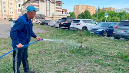 «Ведро воды не жалко»: в Нижнекамске объявили акцию по поливу цветов во дворах