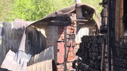 «Всем селом тушили»: соседи сгоревшего участка в Нижнекамском районе рассказали подробности пожара - НТР 24