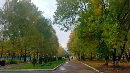 Жителей Нижнекамска приглашают на встречу, чтобы обсудить будущий сквер имени Пушкина