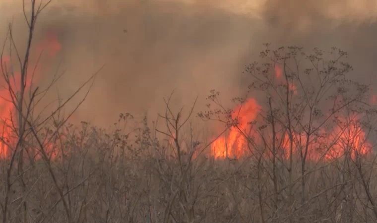 Штормовое предупреждение о пожароопасности лесов в Татарстане продлили