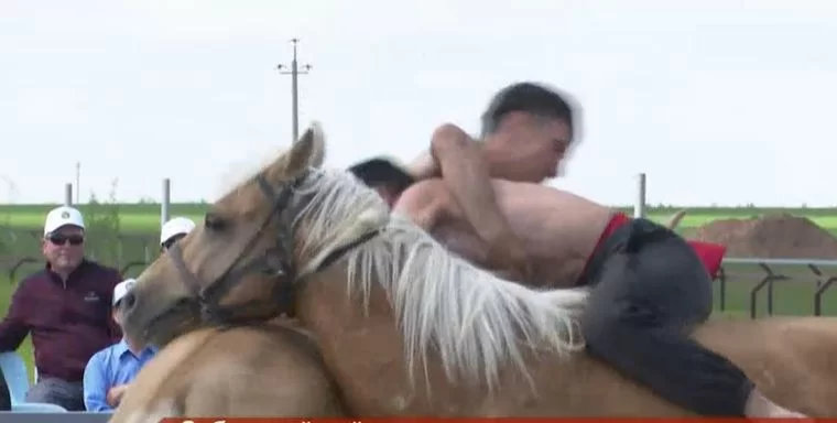 В Нижнекамске на Сабантуе представят древнюю борьбу на лошадях