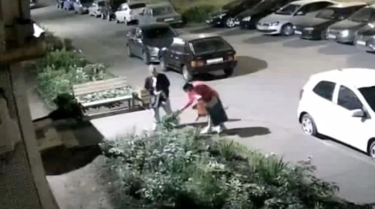 В Нижнекамске на видео попали женщины, выкапывающие цветы с клумбы