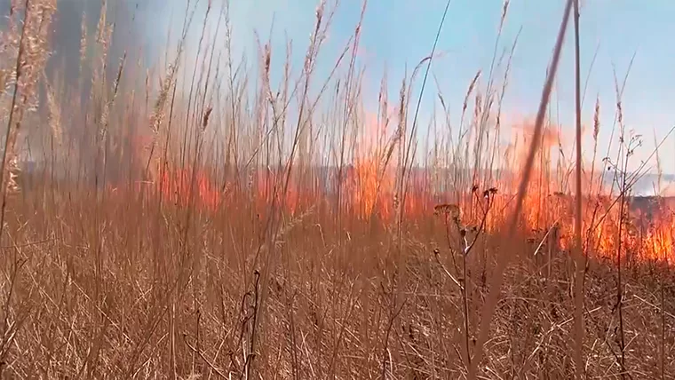В Татарстане вновь продлено штормовое предупреждение о пожарной опасности лесов