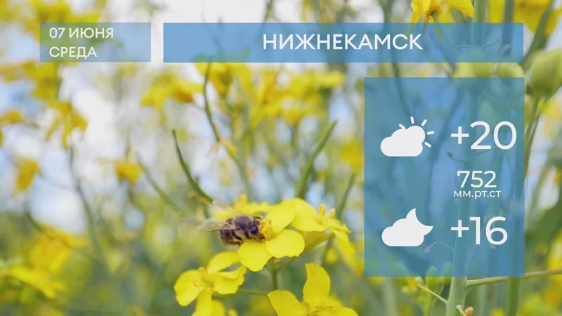 Прогноз погоды в Нижнекамске на 7-е июня 2023 года
