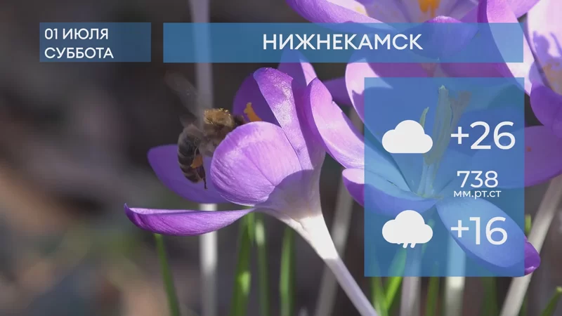 Прогноз погоды в Нижнекамске на 1-е июля 2023 года