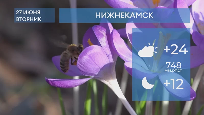 Прогноз погоды в Нижнекамске на 27-е июня 2023 года