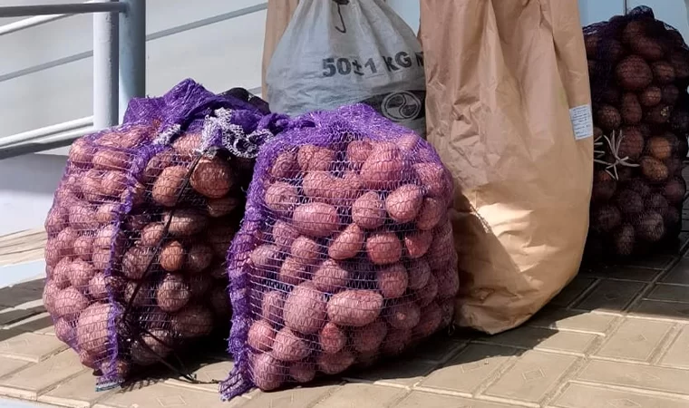 Нижнекамский центр поддержки семьи организовал раздачу картофеля нуждающимся
