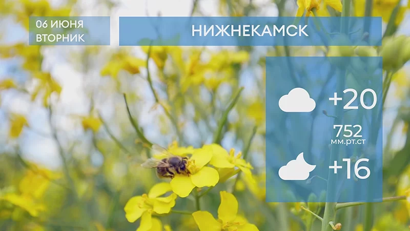 Прогноз погоды в Нижнекамске на 6-е июня 2023 года