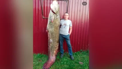 В Татарстане на Каме рыбаки поймали сома весом 104 кг