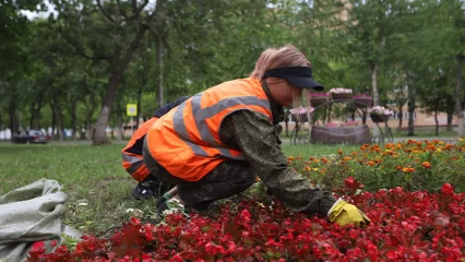 Нижнекамские подростки могут устраиваться на работу без согласия органов опеки