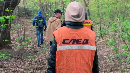 В Нижнекамске нашли пропавшую 10 дней назад пенсионерку - НТР 24