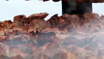 Патяшина предупредила татарстанцев о риске заражения сальмонеллезом из-за шашлыка - НТР 24