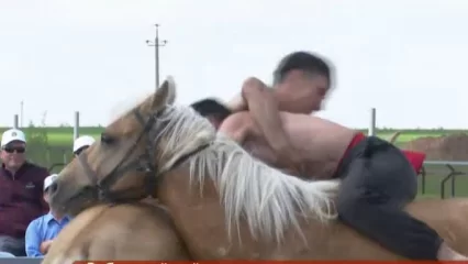 В Нижнекамске на Сабантуе представят древнюю борьбу на лошадях