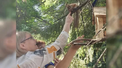 К нижнекамским врачам пришёл необычный гость, они поделились видеозаписью - НТР 24