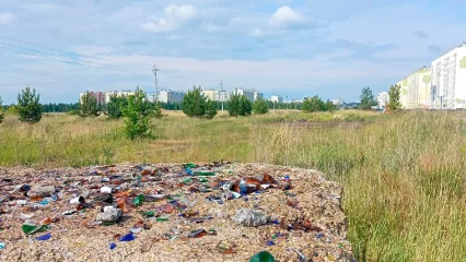 «Стыд для нашего Нижнекамска»: молодой парень показал, как горожане мусорят возле Корабельной рощи