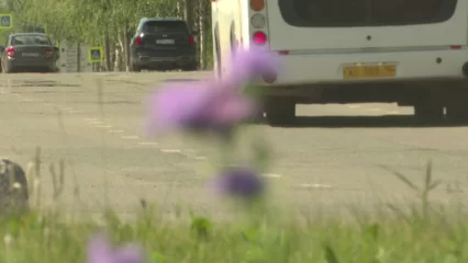 На Троицу в Нижнекамске запустят дополнительные автобусы до кладбища