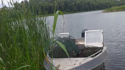 В Нижнекамске на озере Каракуль выловили две сети и шесть раколовок - НТР 24