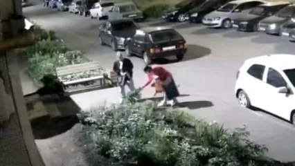 В Нижнекамске на видео попали женщины, выкапывающие цветы с клумбы
