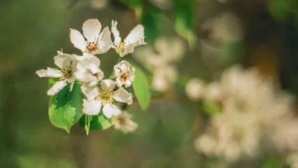 В 2024 году россияне на 1 мая будут отдыхать четыре дня - НТР 24