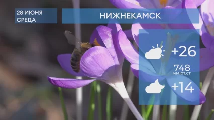 Прогноз погоды в Нижнекамске на 28-е июня 2023 года