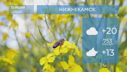 Прогноз погоды в Нижнекамске на 14-е июня 2023 года