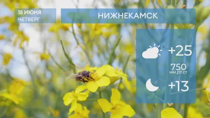 Прогноз погоды в Нижнекамске на 15-е июня 2023 года