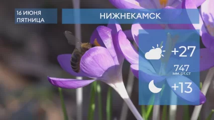 Прогноз погоды в Нижнекамске на 16-е июня 2023 года