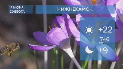 Прогноз погоды в Нижнекамске на 17-е июня 2023 года