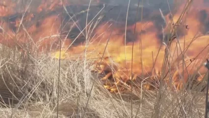 В Татарстане на 22% возросло количество пожаров