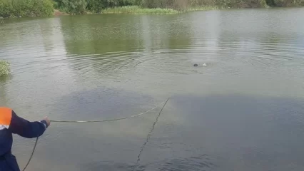 В озере у деревни Куюки в Татарстане утонул пьяный мужчина