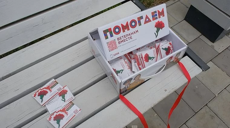 В Нижнекамске участники акции «Красная гвоздика» собрали 30 тыс. рублей для ветеранов