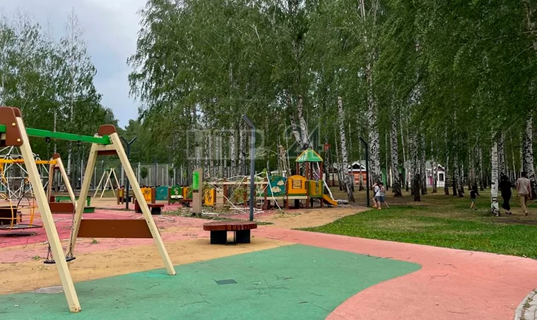 В Нижнекамске из-за сильного ветра береза упала на детскую площадку
