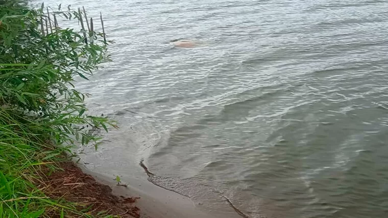 На озере в Нижнекамском районе утонул мужчина