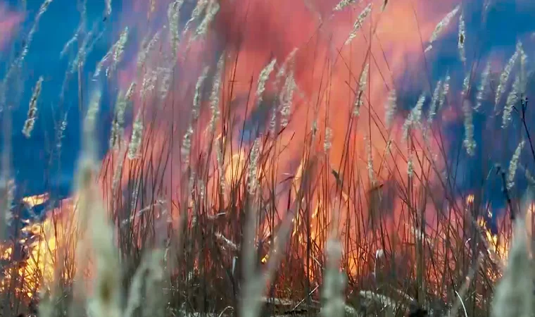 В Татарстане в 12-й раз продлевают штормовое предупреждение об опасности лесных пожаров