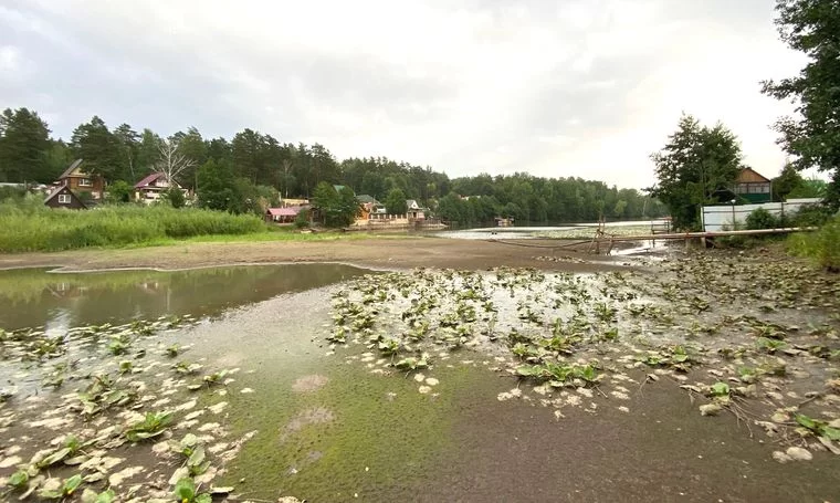 Под Нижнекамском практически высохло озеро Подборное — вода убывает по 5 см в день