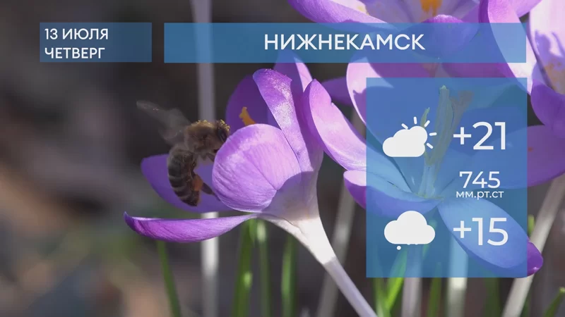 Прогноз погоды в Нижнекамске на 13-е июля 2023 года