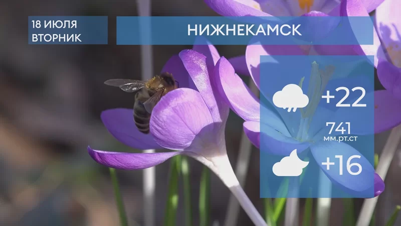 Прогноз погоды в Нижнекамске на 18-е июля 2023 года