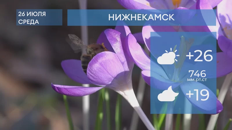 Прогноз погоды в Нижнекамске на 26-е июля 2023 года