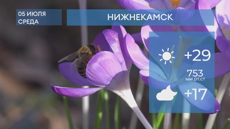 Прогноз погоды в Нижнекамске на 5-е июля 2023 года