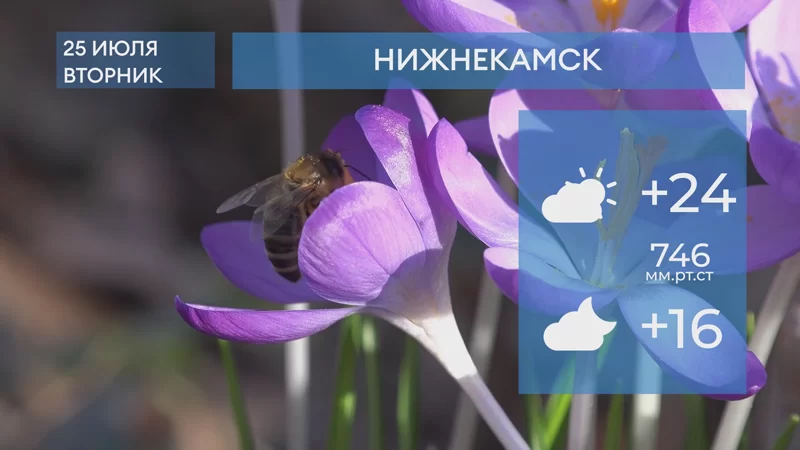 Прогноз погоды в Нижнекамске на 25-е июля 2023 года