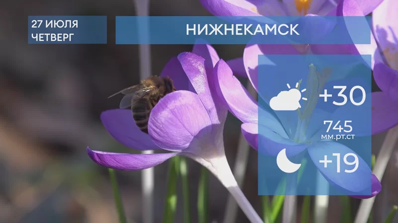 Прогноз погоды в Нижнекамске на 27-е июля 2023 года
