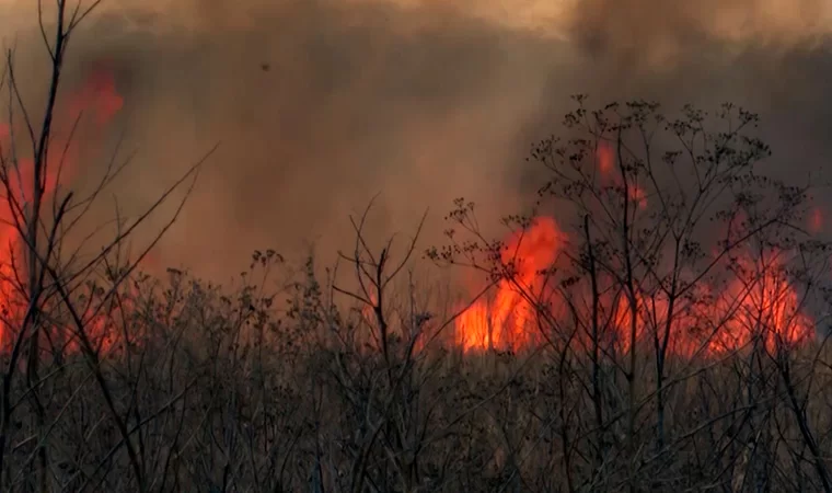 Штормовое предупреждение о высокой пожароопасности лесов в Татарстане продлили