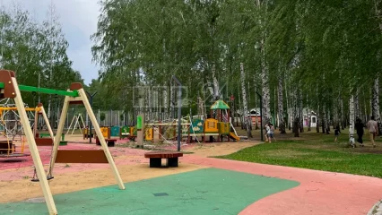 В Нижнекамске из-за сильного ветра береза упала на детскую площадку - НТР 24