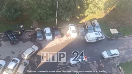 В Нижнекамске школьник на угнанной машине устроил ДТП и скрылся - НТР 24